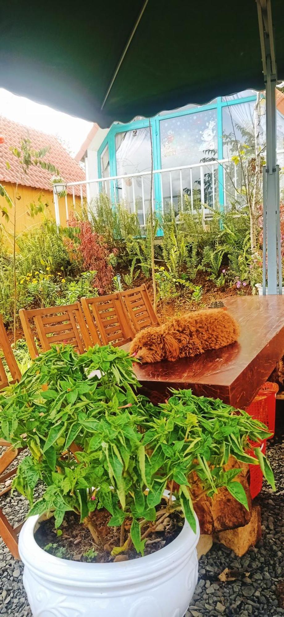 Paradiso Homestay Mangden Kon Von Kla Экстерьер фото